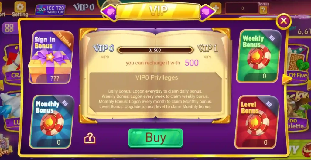  VIP Program